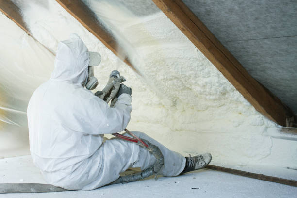 Best Attic Insulation Installation in Hazel Park, MI